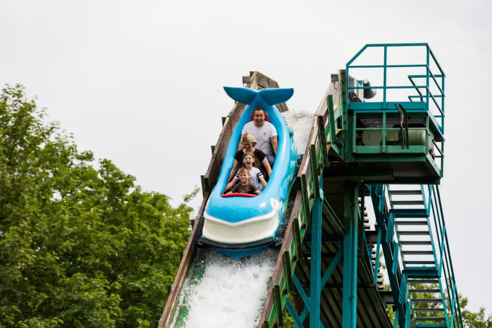 Eine vierköpfige Familie fährt die steile Abfahrt der Wildwasserbahn pottwal im potts park hinunter. Sie sitzen in einem einzigartigen, hellblauen und weißen wal-förmigen Boot, das den Schriftzug 